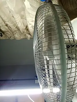 HarryChoudhary21 online show from 3, 11, 2025