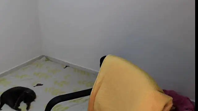 Snapshot of meganmiauu chatting on 11, 5, 2026 meganmiauu online show from 11, 5, 2026