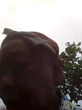 VangLe73 online show from 16, 10, 2025