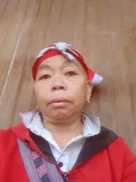 VangLe73 online show from 11, 2, 2026