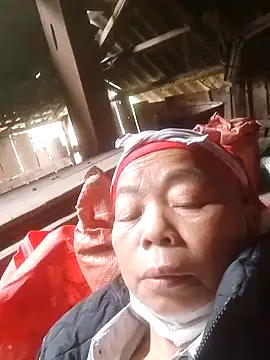 VangLe73 online show from 5, 11, 2025