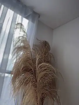 Sofi Leal online show from 26, 11, 2025