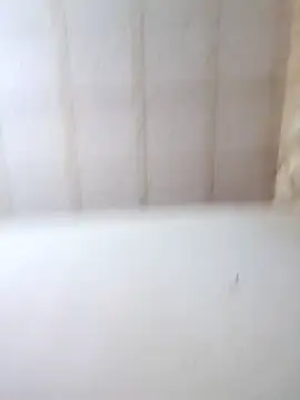 bon bonsex online show from 24, 10, 2025