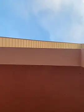 Michel huge online show from 11, 2, 2026