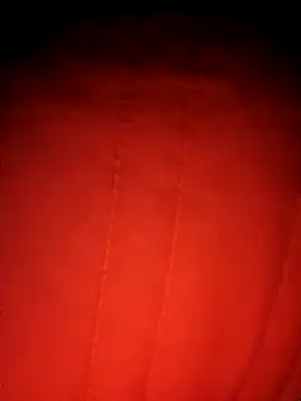 Snapshot of Theredcorazon chatting on 20, 3, 2026 Theredcorazon online show from 20, 3, 2026