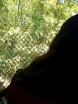 dimny sex online show from 28, 11, 2025