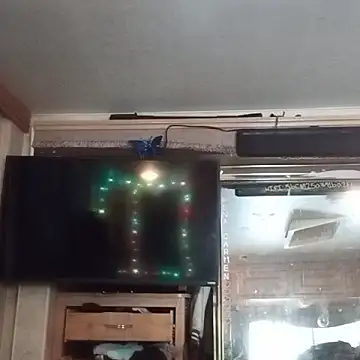 Britania666 online show from 26, 10, 2025