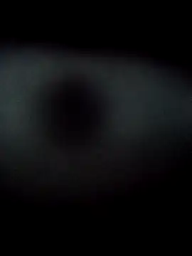 Jessi 25 online show from 15, 1, 2026