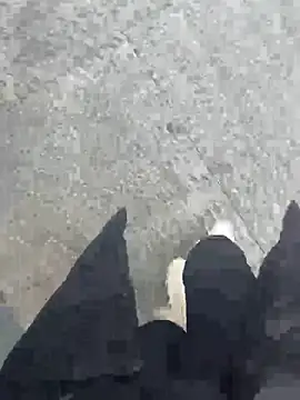 Snapshot of xiao-mo520 chatting on 3, 3, 2026 xiao-mo520 online show from 3, 3, 2026