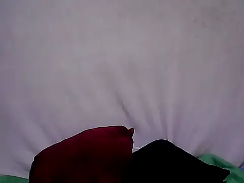 sh1nbae online show from 23, 9, 2025