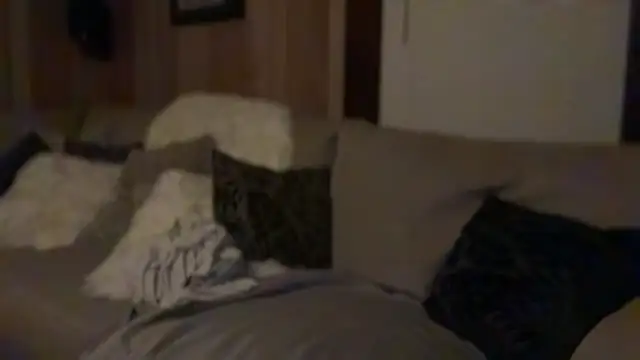 PefectNipz online show from 21, 9, 2025