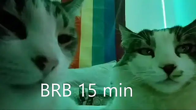 JettaHerrin online show from 24, 9, 2025