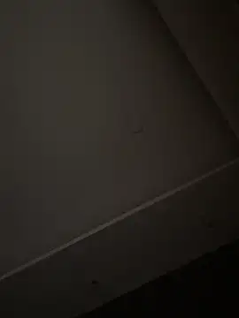 Snapshot of ALANNFERRER chatting on 1, 11, 2025 ALANNFERRER online show from 1, 11, 2025