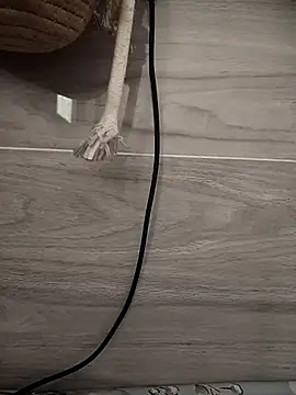 Tan32 11 online show from 14, 1, 2026