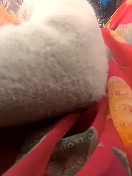 Hot raaani online show from 15, 1, 2026