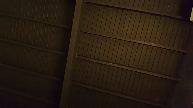 lilyth bloom online show from 15, 12, 2025