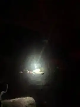 slicksdick25 online show from 3, 4, 2026