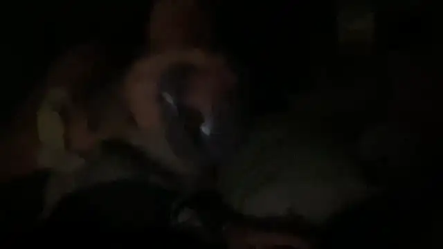 dddasani online show from 24, 9, 2025