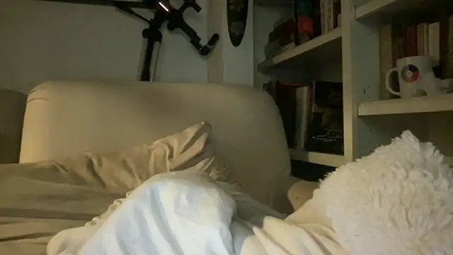 dddasani online show from 2, 10, 2025