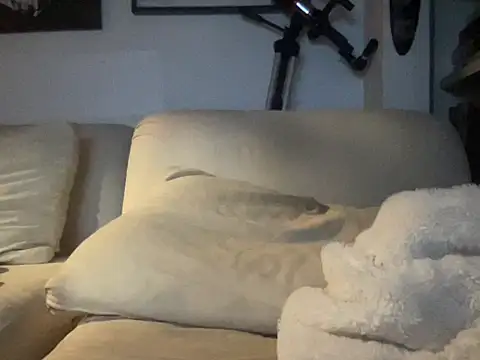 dddasani online show from 17, 10, 2025