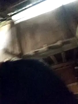 Bianly online show from 16, 4, 2026