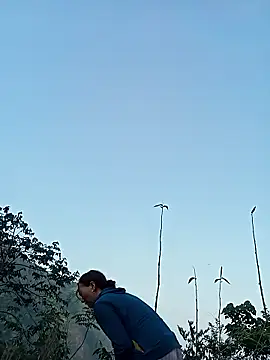 Bianly online show from 3, 4, 2026