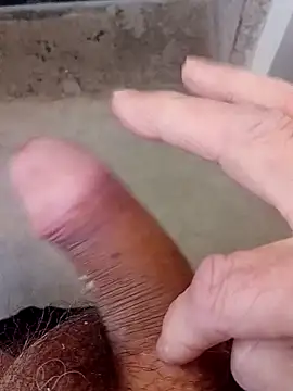 69dagosto online show from 19, 11, 2025