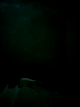 Snapshot of CrepedTrek chatting on 26, 11, 2025 CrepedTrek online show from 26, 11, 2025