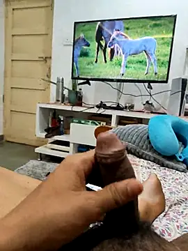 Snapshot of Prodigy919 chatting on 21, 2, 2026 Prodigy919 online show from 21, 2, 2026