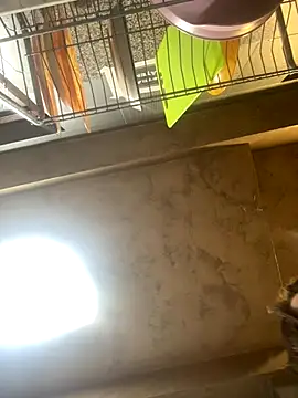 Anyssia online show from 1, 12, 2025