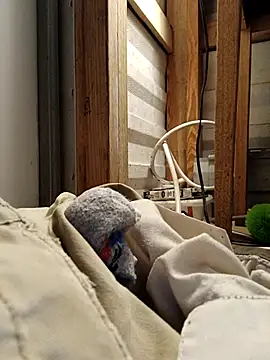 ShawnandDani7074 online show from 17, 2, 2026