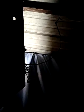 ShawnandDani7074 online show from 14, 4, 2026