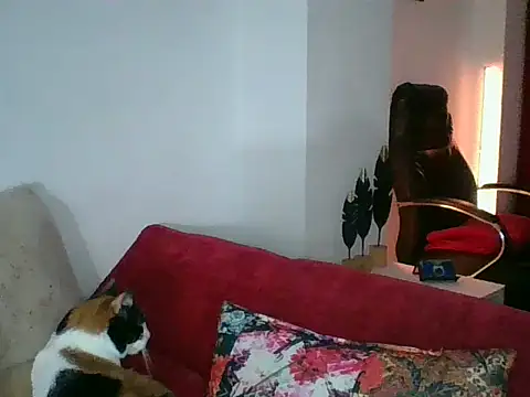 a miss online show from 18, 9, 2025