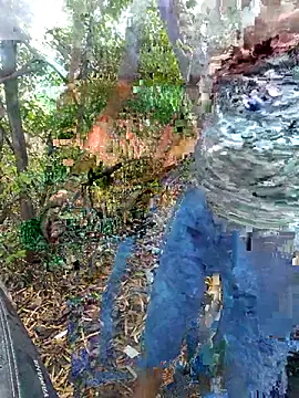 Aeroxx online show from 31, 3, 2026