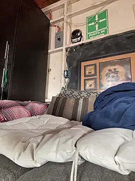 Shankortiz online show from 19, 2, 2026