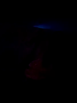 Snapshot of Ravi8879 chatting on 24, 9, 2025 Ravi8879 online show from 24, 9, 2025