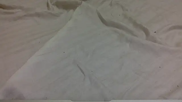 tutu101 online show from 15, 1, 2026