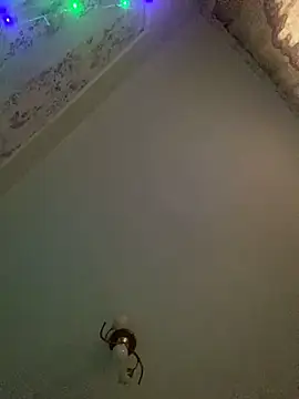 Snapshot of missevacrystal chatting on 7, 11, 2025 missevacrystal online show from 7, 11, 2025