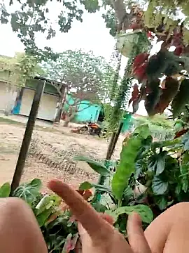 Lily-o online show from 16, 12, 2025