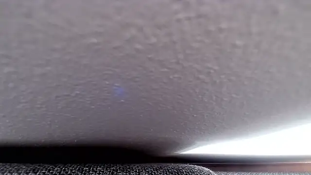 cucciolotto76 online show from 26, 11, 2025