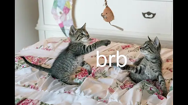 Pink girl0n online show from 1, 10, 2025