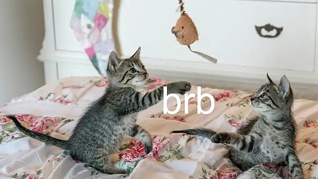 Pink girl0n online show from 22, 11, 2025