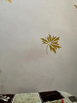 modelnishu online show from 17, 10, 2025