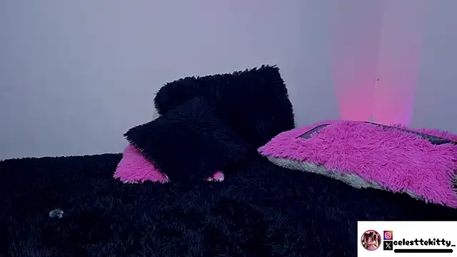 celestte evans 1 online show from 16, 3, 2026