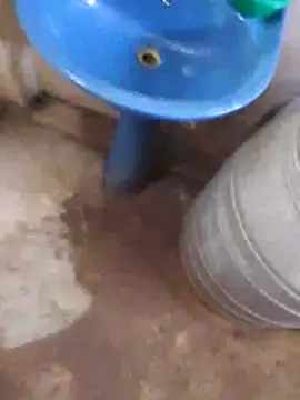 Pogga666 online show from 9, 11, 2025