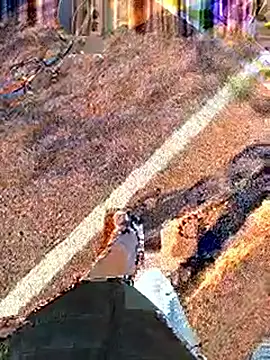 starvingo2002 online show from 28, 10, 2025