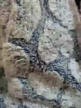 Dalo3a99sixi online show from 23, 11, 2025