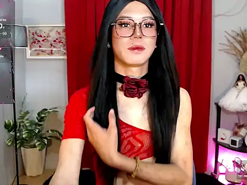 MissTransStella69 online show from 19, 11, 2025