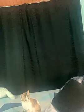 EVAH LEE  online show from 23, 9, 2025