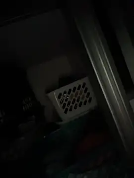 raynstars online show from 16, 11, 2025